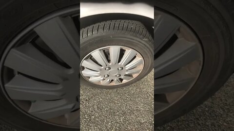 Great day in #portland #katebush