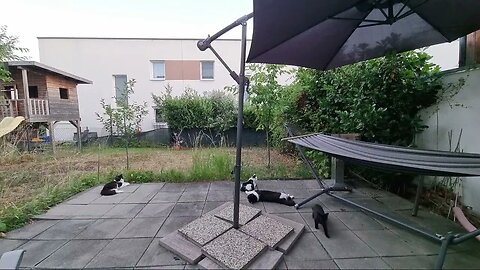 Highlight 4:33:58 – 4:38:58 von Silent Long LIVE for wh update in the garden @TravelGeorge #ghi