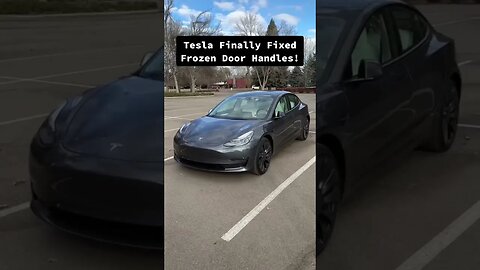 Tesla FINALLY fixed this huge Model 3 Y issue! 😲