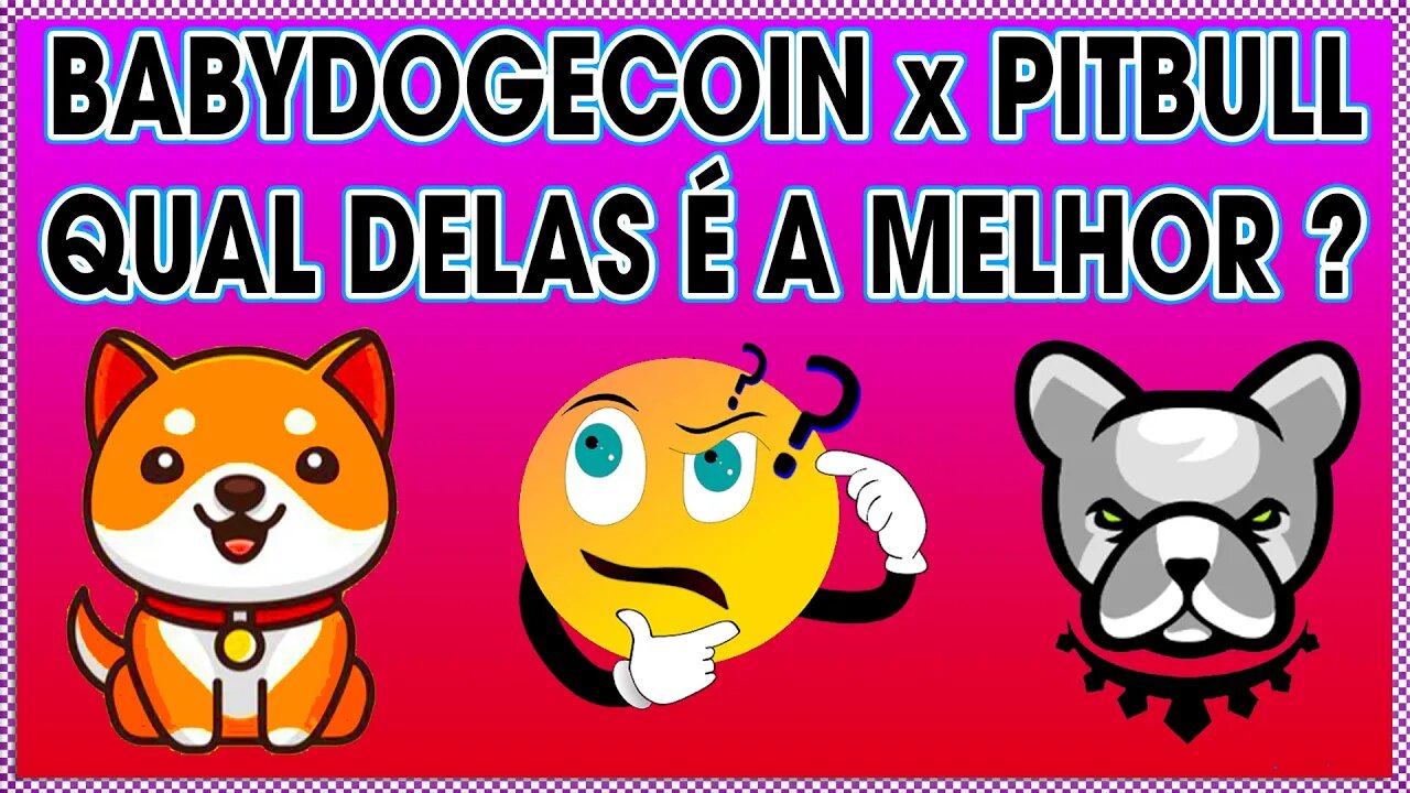 BABYDOGE X PITBULL TOKEN QUAL DELAS É A MELHOR ?