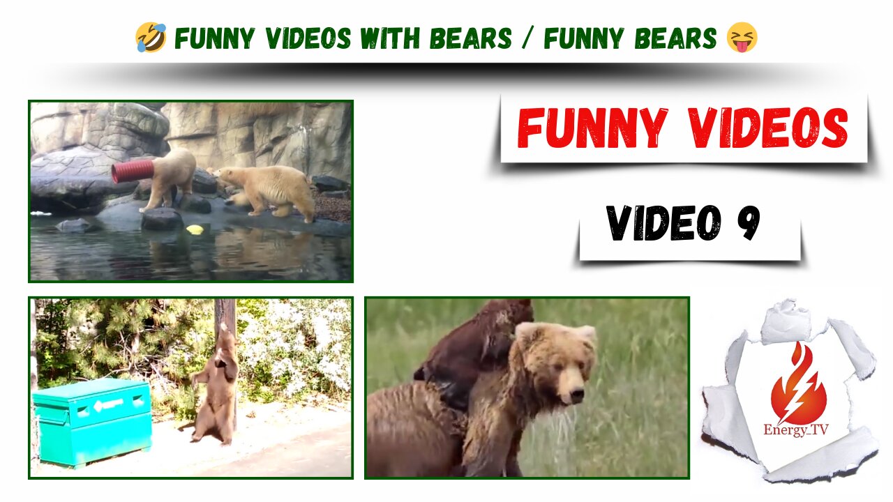 🤣 Funny videos / Funny videos with bears / funny bears 😝