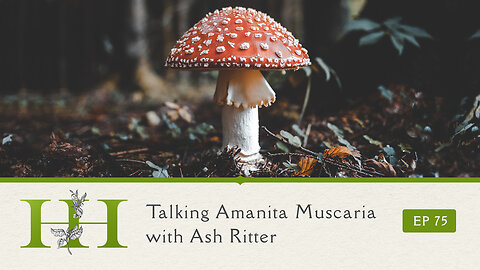 Talking Amanita muscaria with Ash Ritter - The Healing Home - Ep. 75