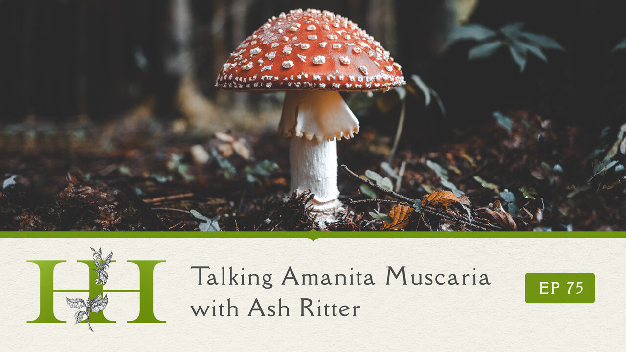 Talking Amanita muscaria with Ash Ritter - The Healing Home - Ep. 75