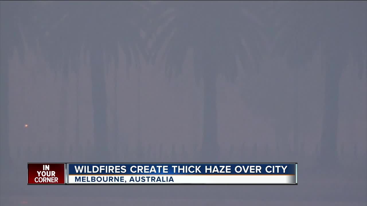 Humane Society rescuing animals in Australia as smoke becomes hazardous