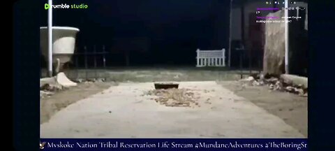 Old Man Coyote 🐺 Visits my live stream again