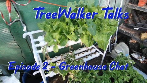 TreeWalker Talks Podcast Episode 2: Greenhouse Chat