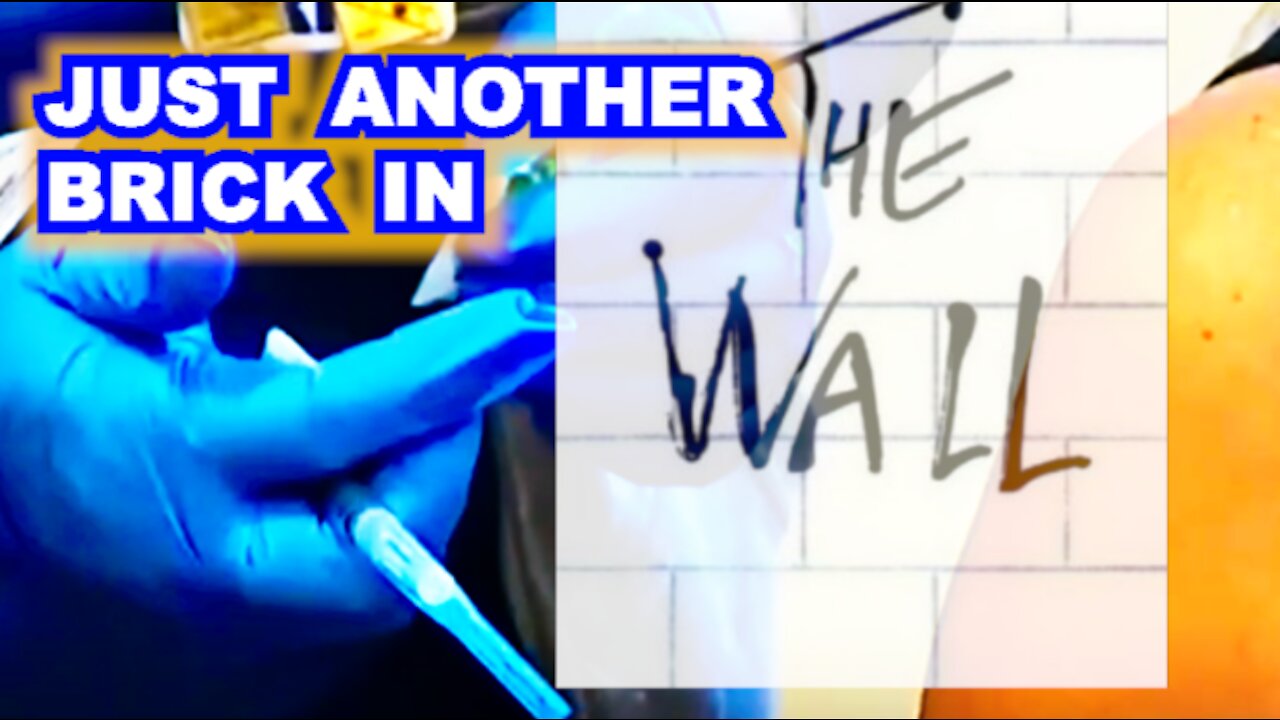 Just Another Brick in the Wall of Genocide | Vaccine Side Effects Are Shutting Schools Down!