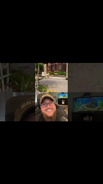 Here’s Your Dose of REALarious…🤣🤣🤣 #duet #funnycomedy #makeyoulaugh #watchfunny #comedyfilms