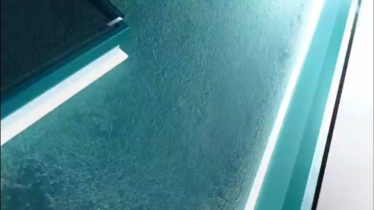 Genetically modified mosquitos released in California