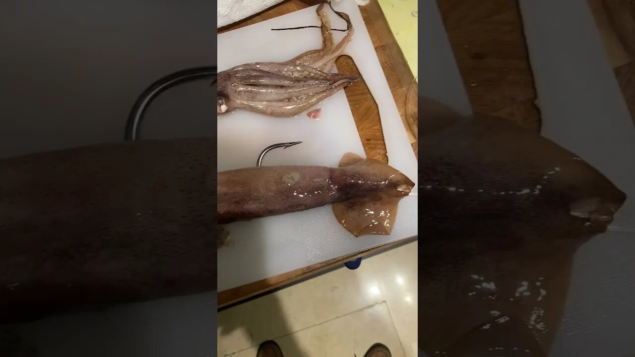 Rigged Squid For Night Time Swordfishing