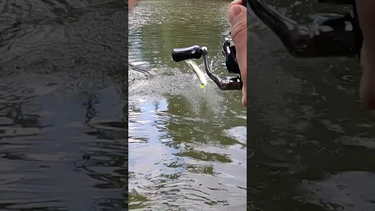 Catching my first Northern Pike in Ohio!