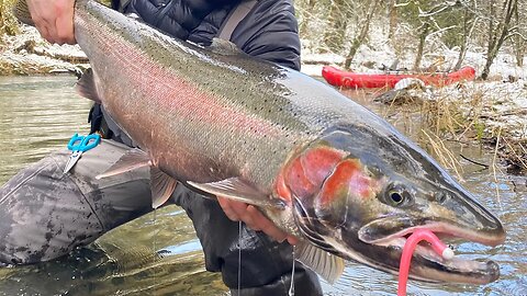 Steelhead Fishing Rigs & Setups. (LIVE RIGGING DEMO & TIPS!)