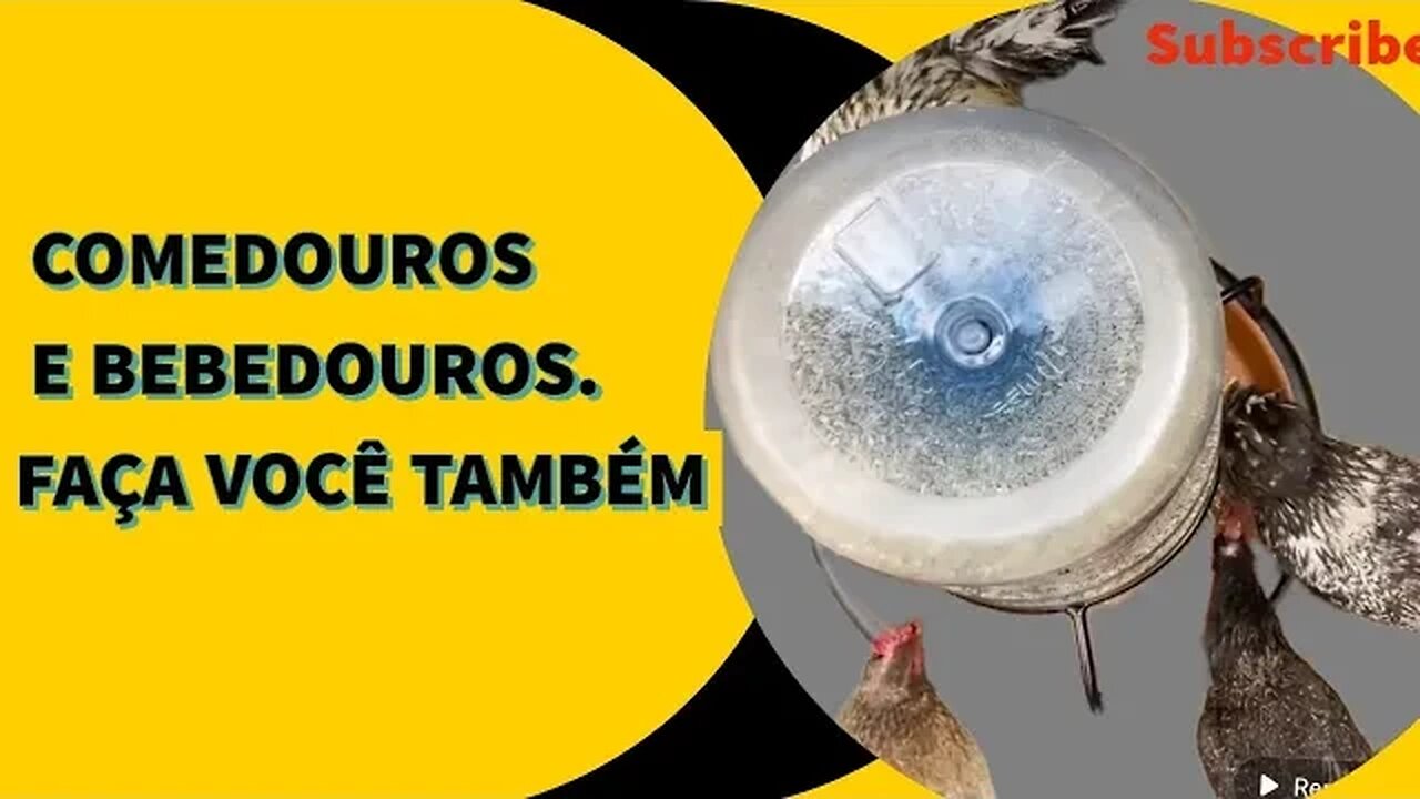 @viverdecodorna REAGE: INVENÇÕES INCRÍVEIS DE COMEDOUROS E BEBEDOUROS