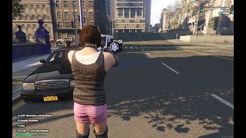 Revenge on Police Corruption NYCRP