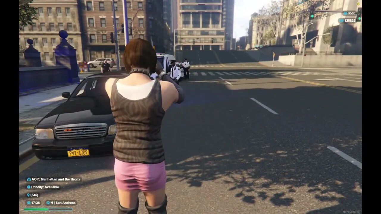 Revenge on Police Corruption NYCRP