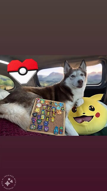 Pokémon pins for sale