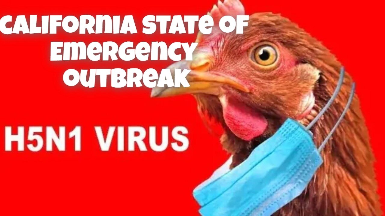 CALIFORNIA STATE OF EMERGENCY BIRD FLU VIRUS PANDEMIC IS COMING