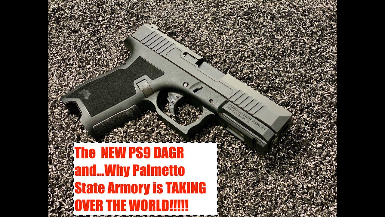 The NEW Palmetto State Armory Dagger...and why PSA is TAKING OVER THE WORLD!!!