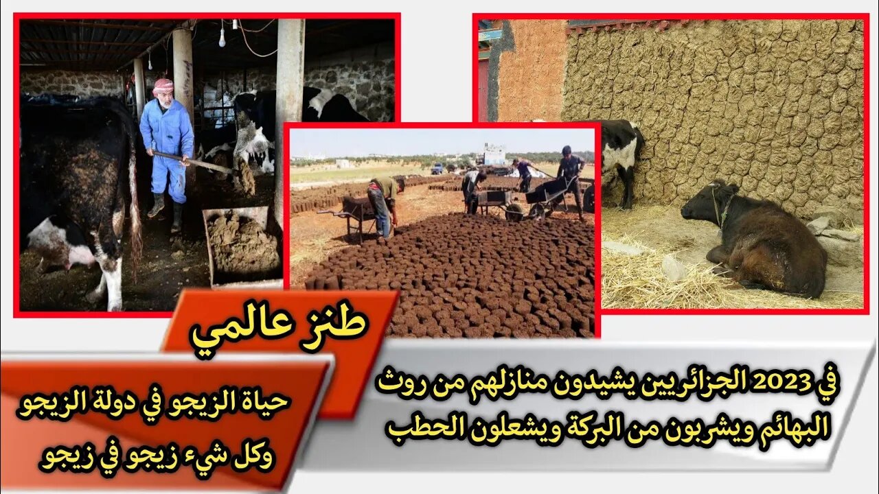 "في 2023 الجـ.ـزائريين يشيـ.ـدون منـ.ـازلهم من رو.ث البهـ.ـائم" "ويشـ.ـربون من البـ.ـركة"