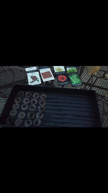 Starting my spring/summer veggies!