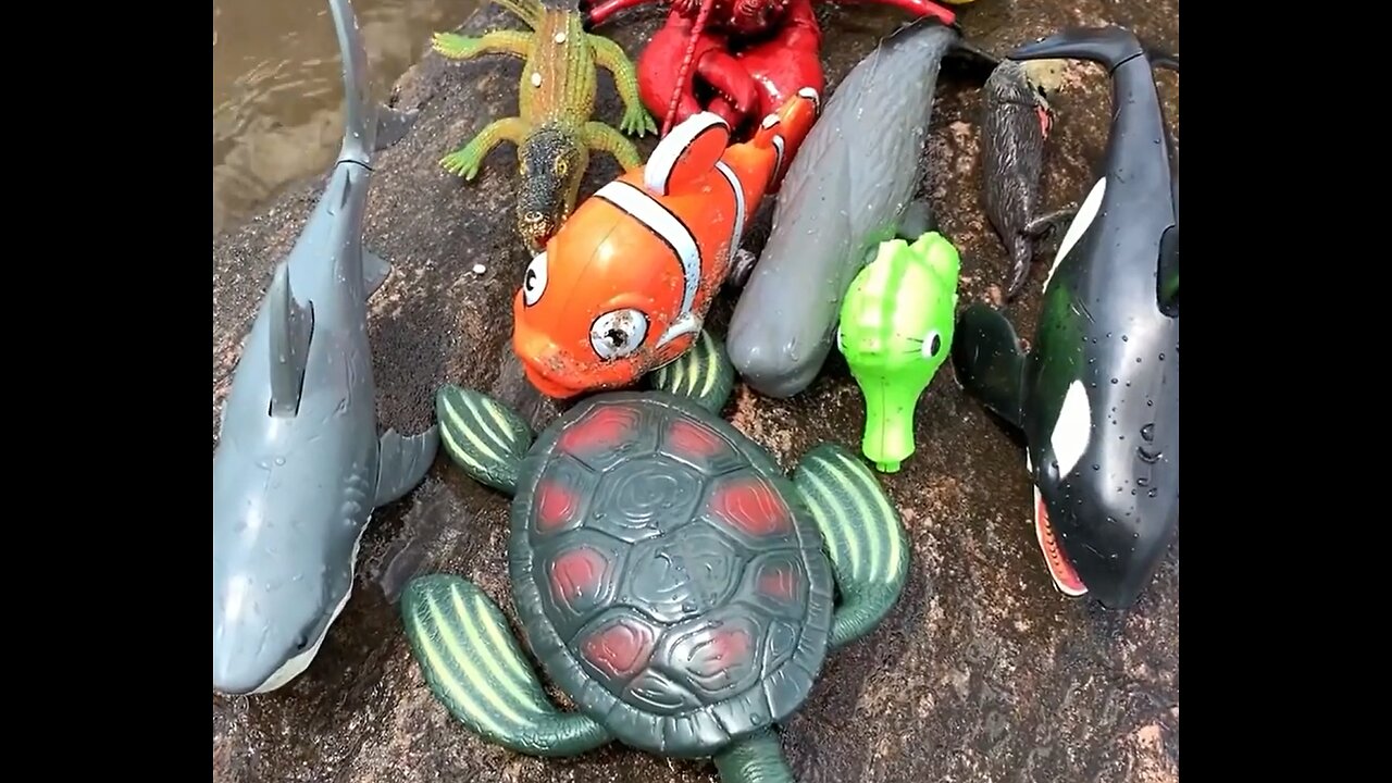 Sea Animal Toys This Summer at the Shore