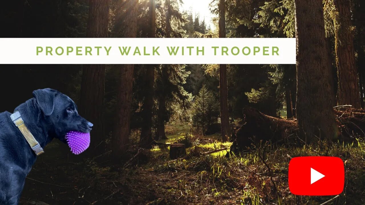 Property walk with Trooper