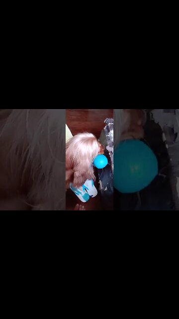 #dogshow, #amimals, #dogs, #shorts