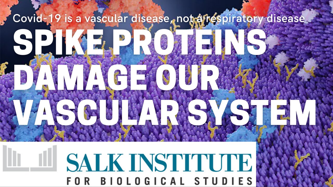 Salk Institute proves that this is a vascular disease, not a respiratory disease