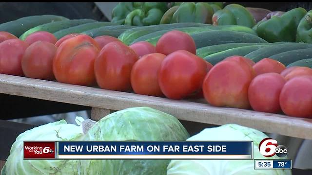 New urban farm opens on Indy's east side