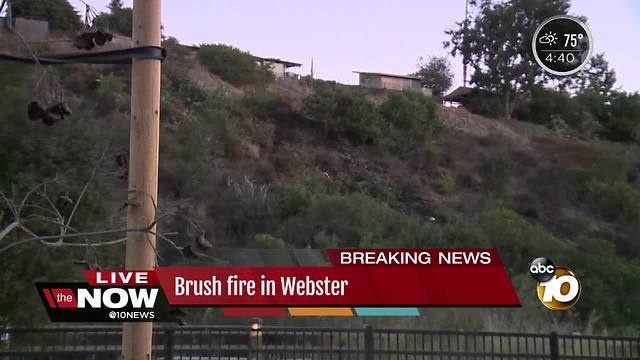 Crews knock down 'suspicious' brush fire in Webster