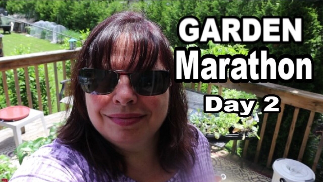 My Garden Planting Marathon | Day 2 | June 2024 #kitchengarden #gardeningvideos