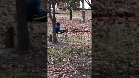 HALLOWEEN TODDLER TERRIFIED of parent hiding in pile of leaves - BOO TO YOU Happy Halloween