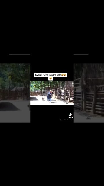 the funniest fight between man and chicken 🐔 I guess 🤣🤣try not to laugh 🤣