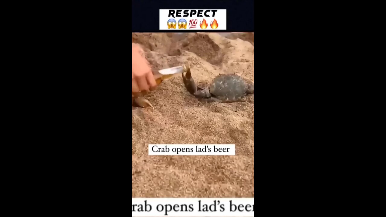 Viral Crab Opening Bear 😮💯🤯