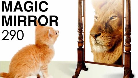 Magic Mirror 290 - The Next Level