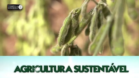 Agricultura Sustentável com Frederico Olivi