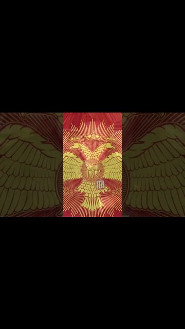 D&G Nomadology Sting