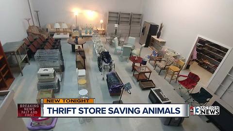 Hearts Alive Village thrift store expands in size and hours to benefit animals