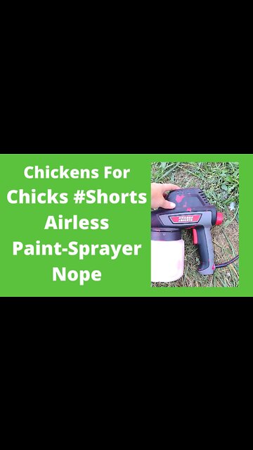 Airless Paint Sprayer Not For Me #Shorts