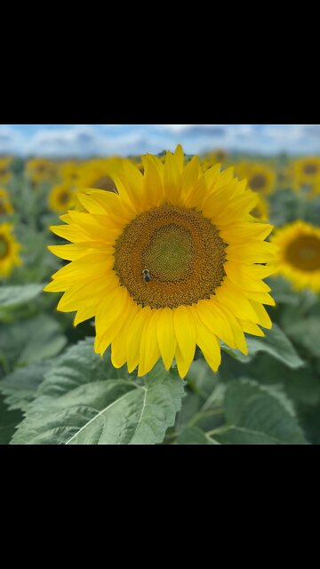 God sees your brokenness