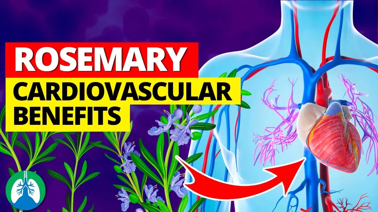 Rosemary Herb is Good for Your Cardiovascular System ❓