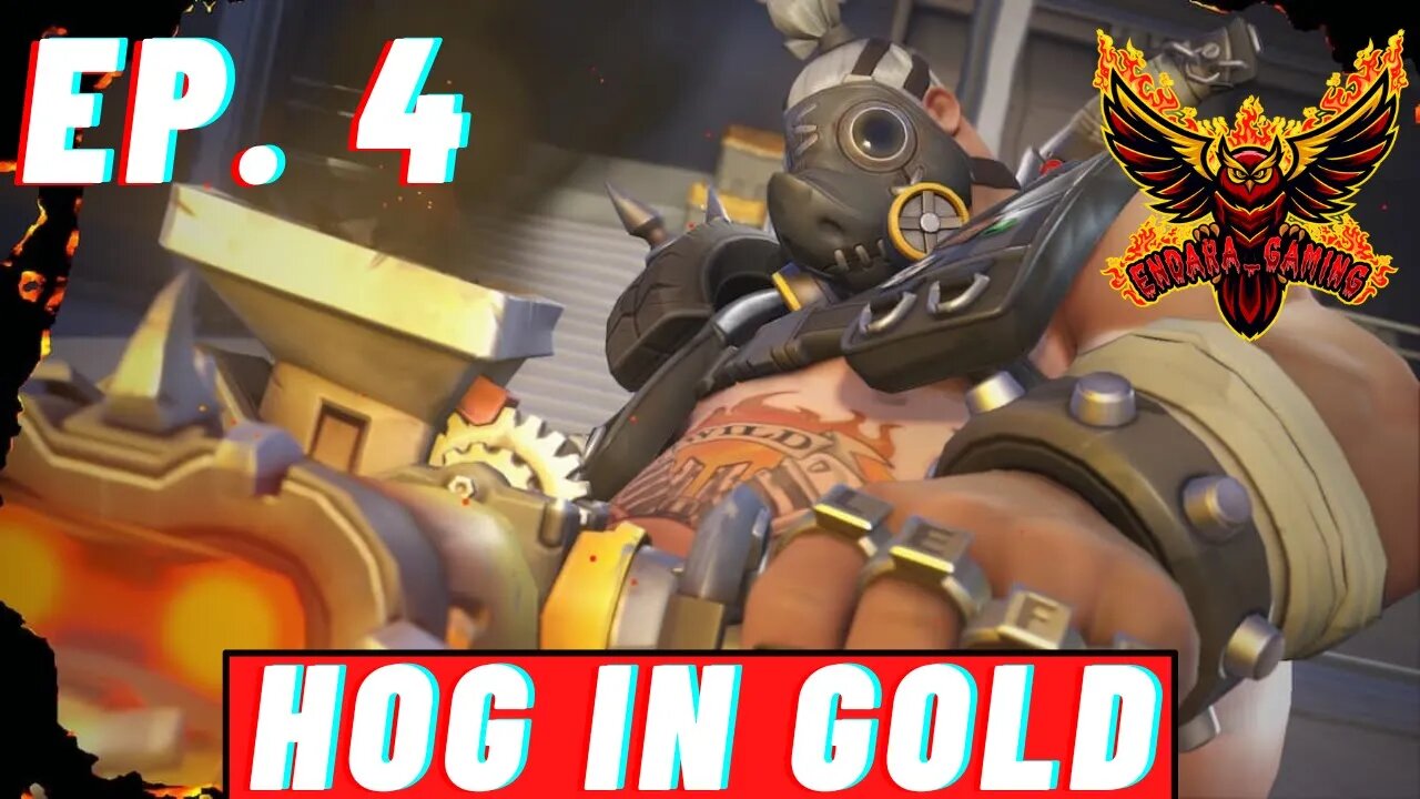 Best of Hog 4 | Gold | Overwatch 2