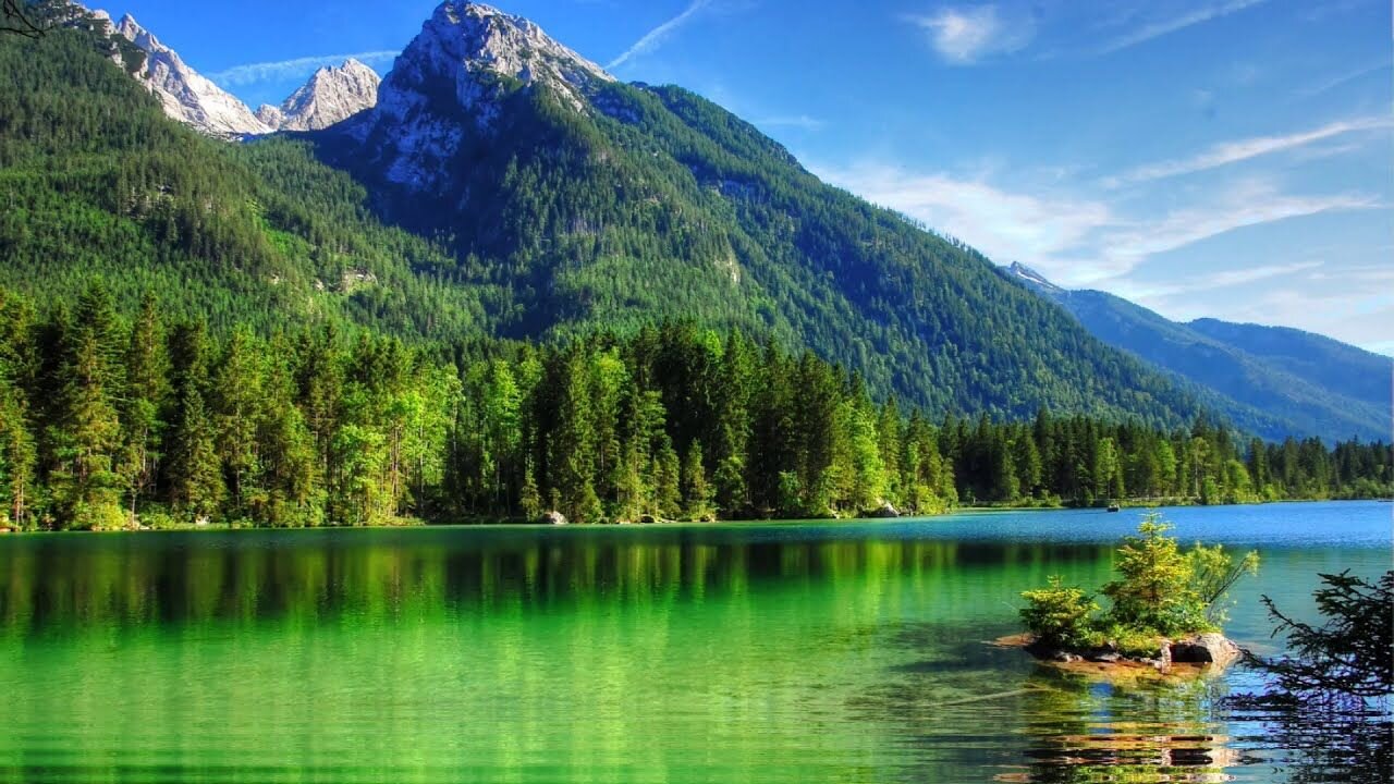 Mind relax nature video better experience🎧🎧