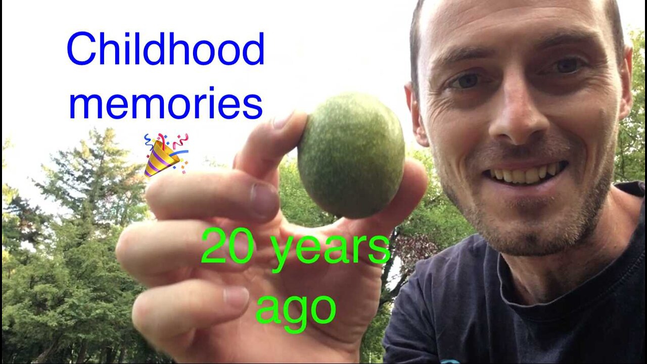 free vlog: Old memories and raw walnuts from beautiful nature 🌳