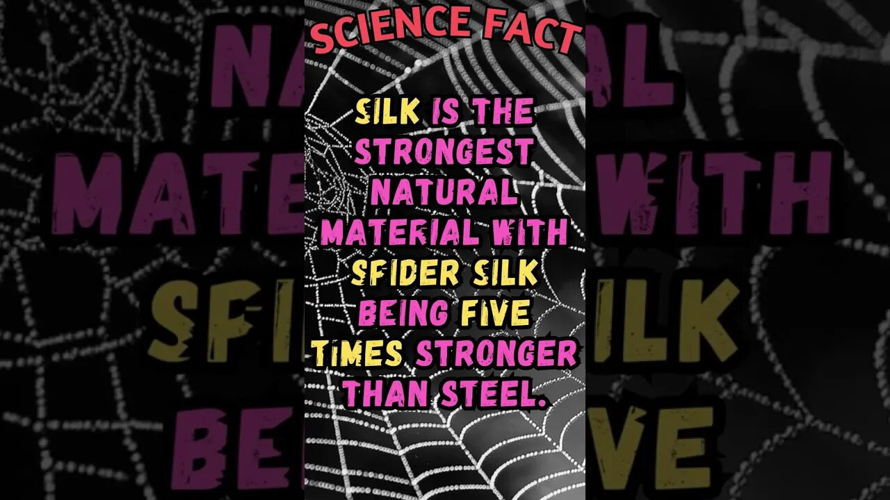 🕸️🔬Amazing Science Facts! 👀 #shorts #shortsfact #science #sciencefacts #scientificfact #spider #web