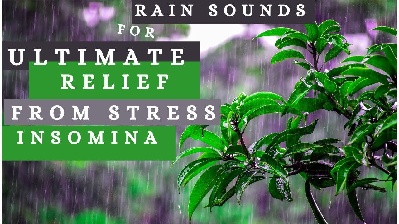 1 Hours of ULTIMATE Relaxing Rain Sounds-Deep Sleep, Concentration, Stress Relief and Harmony