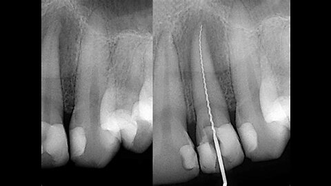 Adventures in Dentistry