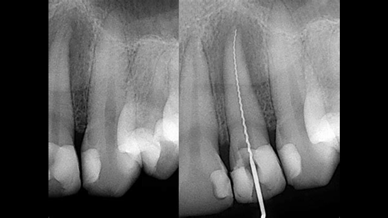 Adventures in Dentistry