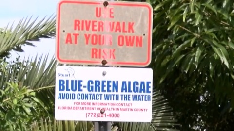 Governor issues emergency order to help battle possible toxic algae blooms