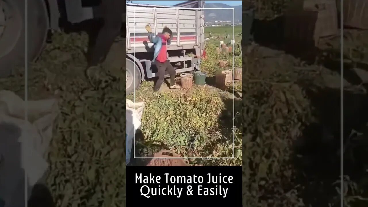 Make Tomato Juice Quickly & Easily 🍅 #shorts #Trending